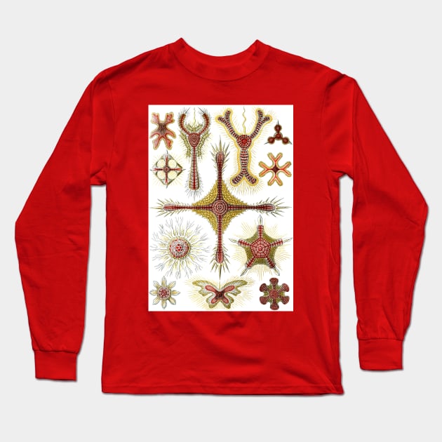 Wild Chamomile by Ernst Haeckel Long Sleeve T-Shirt by MasterpieceCafe